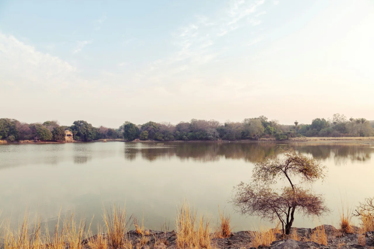 Ranthambore Jungle Lake